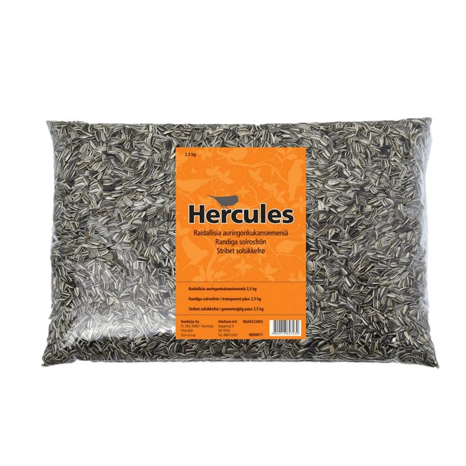 Hovedbilde Solsikkefrø 2,5kg